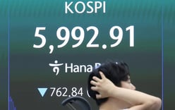 "Is this really the stock market?" Ants weeping in tears... KOSPI plummets over -10%