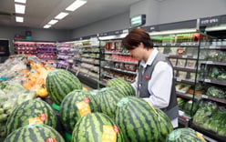 HomePlus Express, Embraced by NS Home Shopping, Bets on Franchise Expansion