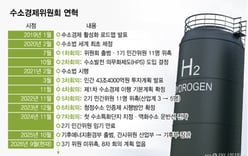 The Hydrogen Economy Committee, which even had Lee Jung-hyun seated, has been on indefinite hiatus for two years