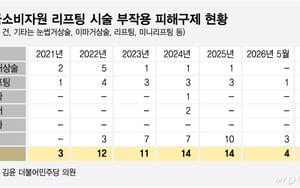 해외