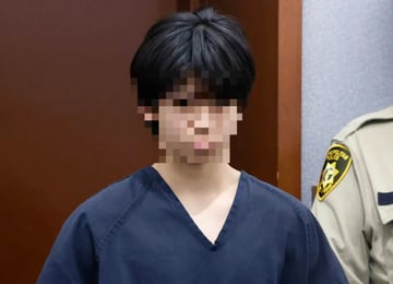 "15세 김모군, 수학여행서 남학생 집단 성폭행"…美 성인 법정 섰다