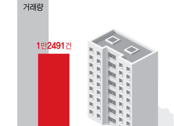 "서울 아파트 매매 절반이 9억 이하"…'실거주' 중심 시장 재편 가속화