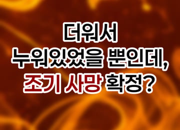 [곰국툰] 덥다고 누워만 있었더니 조기 사망?