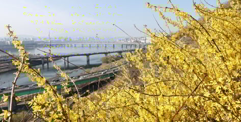 "우와~ 주말 봄날씨" 나들이 가려다 실망...'불청객' 탓 뿌연 하늘