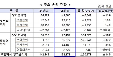 작년 보험사 순익 2조원 급감..예실차 '회계 마법' 부메랑 됐다