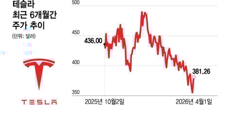 테슬라 1분기 전기차 인도량, 13% 증가 전망…주가는 올해 15% 하락[오미주]