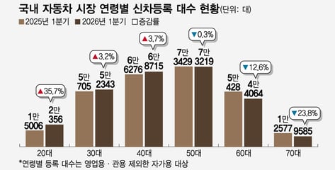 테슬라가 이끈 20대 신차 구매 'V자 반등'..'수입차=독일차' 공식 깨졌다