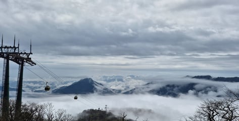 마오타이 본고장의 변신...땅 위아래로 녹색엔진 돌리는 '말차의 도시'[르포]