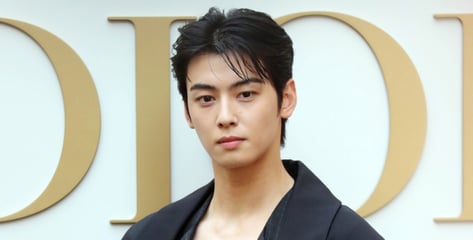 '130억 세금' 결국 낸 차은우, 군악대 퇴출?..."보직 재검토" 민원, 왜?