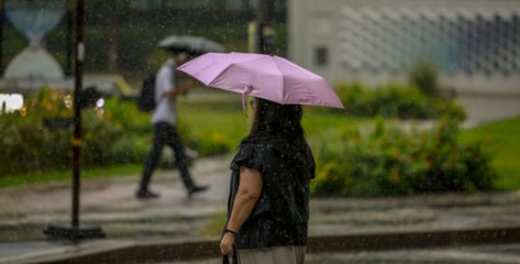 "6월 역대급 장마, 한달 내내 비" 떠도는 괴담...기상청 답변은?