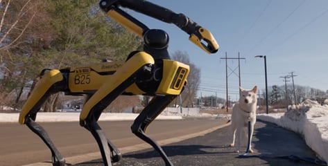 "댕댕아 산책가자" 목 줄 잡은 '로봇개'…신발 정리 방 청소까지 [영상]