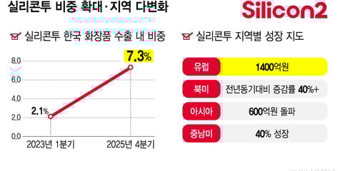 직진출 늘어도 더 커졌다…K뷰티 수출, 유통 플랫폼 비중 3배 확대