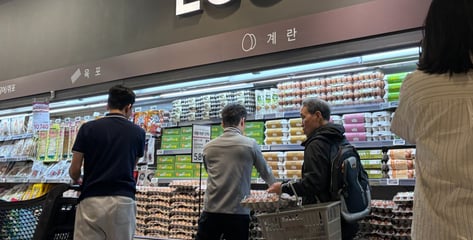 "태국산 계란, 국내산보다 2000원 싸다" 마트 오픈런...계란값 잡힐까