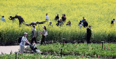 "주말 나들이 딱이야" 26도 안팎 '초여름'...다음주 월요일엔 비온다