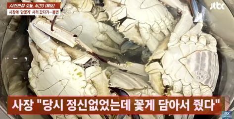 "알이 꽉 차" 꽃게 열어보니 '딴판'..."엄마 같은 사람한테 왜 그래" 상인 당당
