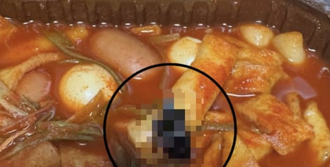 떡볶이에 '푹 익은 바퀴벌레'가 쏙...삼첩분식 행정처분 예정