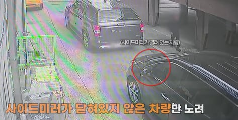 사이드미러 안 접힌 차만 노렸다…차량 털이범 결국 '덜미'