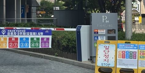 "이젠 내 차 타고 출근, 너무 반가워"…2부제·5부제 해제에 시민들 '환영'