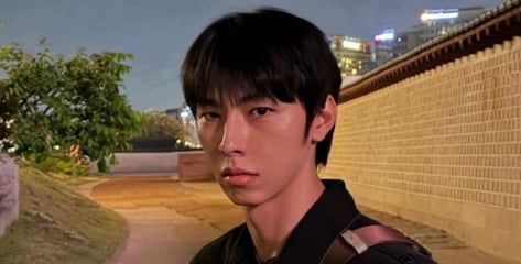 "기쁨조 진짜 옷 벗기냐" 영상에 '좋아요'…논란 커지자 남배우의 해명