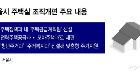 '어디에 얼마나 짓나'…서울시, 주택공급 지도 공개한다