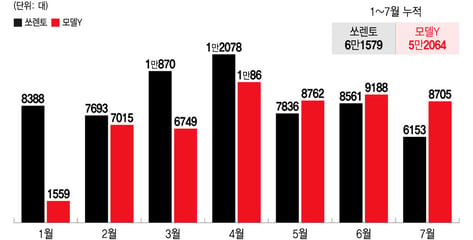"이렇게까지 잘 팔려?" 기이한 현상..'국민 아빠차' 위협하는 테슬라