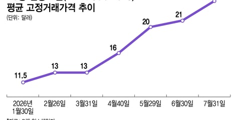 HBM 열풍의 역설… 구형D램 '귀하신 몸'