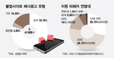 '불법사이트 무력화' 광고게재 막고 합법적 해킹 허용