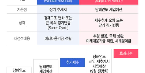 '재정 저수지' 미래대응기금 신설…지자체 몫 지방교부세도 고친다