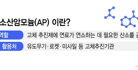 [단독]한화, K방산 수출 질주에 '추진제 핵심소재' 투자 나서