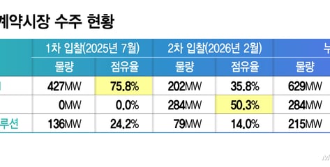 정부 3차 ESS 입찰서 배터리 3사 진검승부.."놓칠 수 없는 기회"