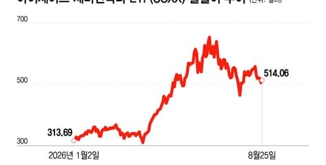 엔비디아보다 마벨에 거는 기대…AI주 반등 촉매냐, 경고음이냐[오미주]