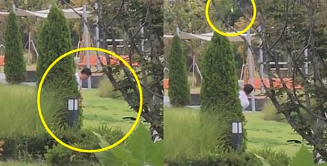 "돈 없으면 골프 접어라"...대전 야구장 공원서 '휙, 휙'[영상]