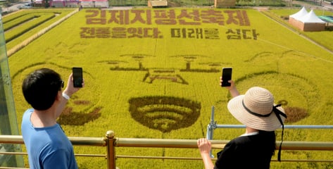 "김제 축제서 김밥 먹고 구토·설사"...260명 집단 식중독 의심