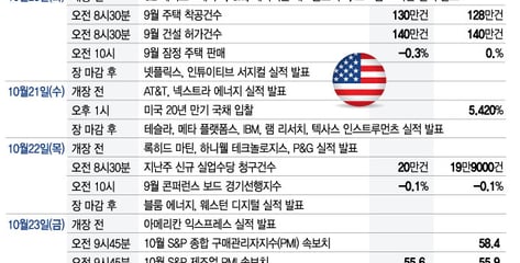AI 자금 조달 우려에 기술주 급락…메타·테슬라 실적에 쏠린 눈[이번주 美 증시는]