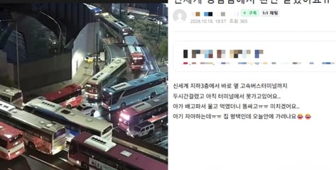 "주말에 다신 안와" "차 버리고 지하철 타"…신세계 강남점 무슨 일?