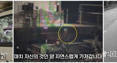 ①도로에서 유리창 깬 경찰관 ②공원 편의점 자전거 도둑 ③주택가 주차 차량 연쇄 방화범 썸네일
