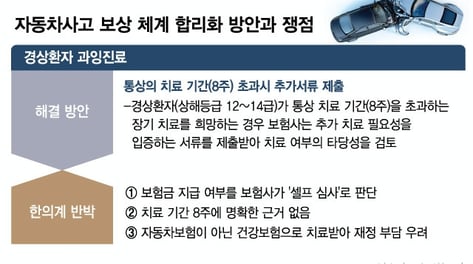 보험금 누수 막을 車보험 제도 개선, 또 제동...소비자 부담 커진다