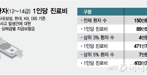 [단독]자동차보험 진료비, 경상환자 상위 3%가 5배 더 쓴다