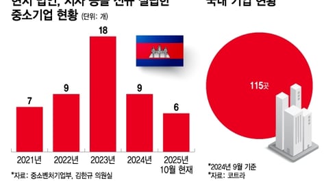 [단독]캄보디아 불안 커지는데..韓 중소기업 주재원 파악도 안된다
