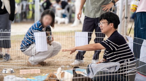 "주말이 더 바빠"… 나주시 동물복지 바꾼 '직장인 활동가'
