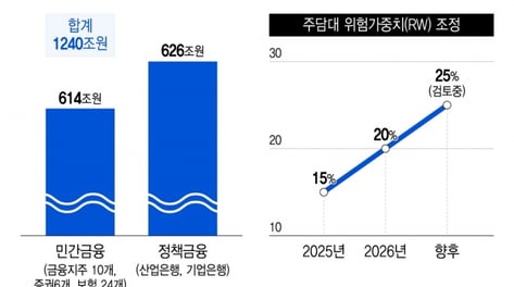 "어차피 집 못 사" 다 주식 몰빵…'5만전자'에 증시 떴던 개미 U턴