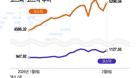 '오르락 내리락' 멀미나는 K증시…"변함없다" 개미 최선의 전략은?
