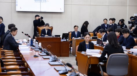 행정통합법, 與주도 행안위 소위 통과…국민의힘 "역풍 맞을것"