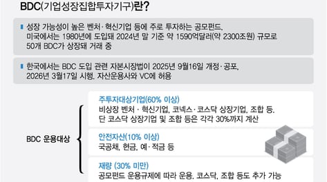 [단독]"개미도 유니콘 투자" BDC, 내달 출시…반쪽상품 우려도