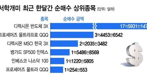 "인생은 한 방, 돈 3배로 벌자"...겁없는 개미 몰려간 곳