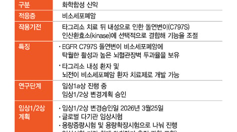 보로노이, 폐암치료제 VRN11 임상2상 눈앞…"블록버스터 신약 기대"