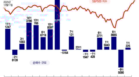 "반도체주 떨어진다"…5일간 30% 손실 보고도 또 하락 베팅[오미주]