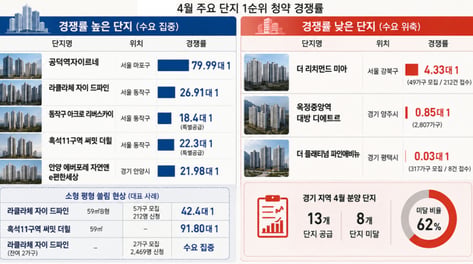 경쟁률은 낮아졌지만 '양극화'는 더 심화…청약도 '선별 시장'