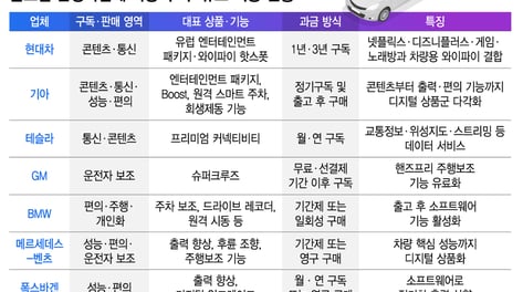 차 한 번 팔면 끝? 넷플부터 성능까지 '구독'…현대차그룹 새 수익공식