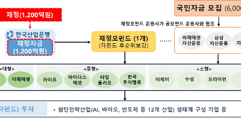 뺄 수도 없는데...'20% 손실 보전' 국민성장펀드, 두 달만 마이너스?